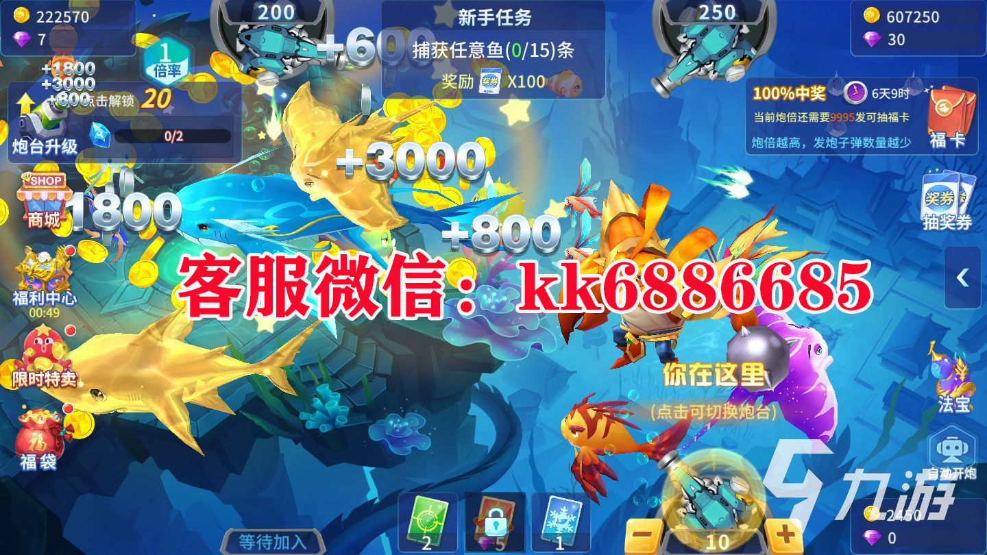 正版星力平台